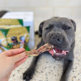 Natural Treat Bundle