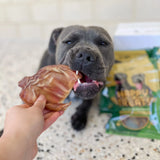 Natural Treat Bundle