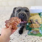 Premium Pigs Ears