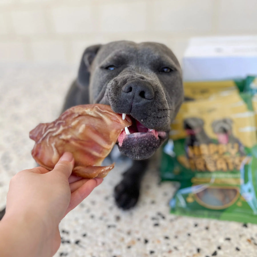 Premium Pigs Ears