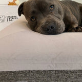 Orthopedic Memory Foam Bed + Pullover Blanket Cover