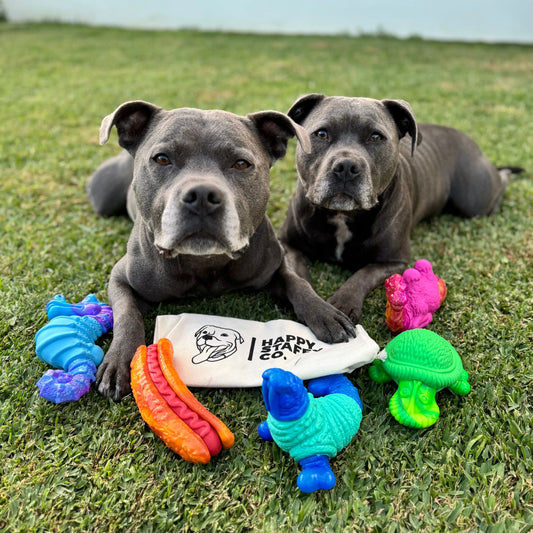 Chewzilla X Power Chewers Bundle