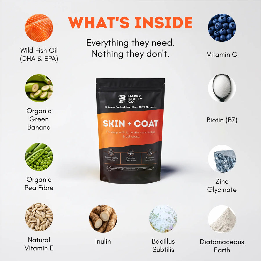 Skin & Coat Supplement