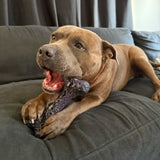 Chewzilla Galactic Quest Collection