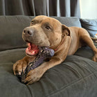 Treat & Toy Combo (Chewzilla®)
