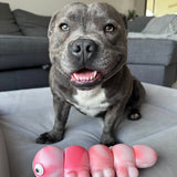Tough Wiggle Worm