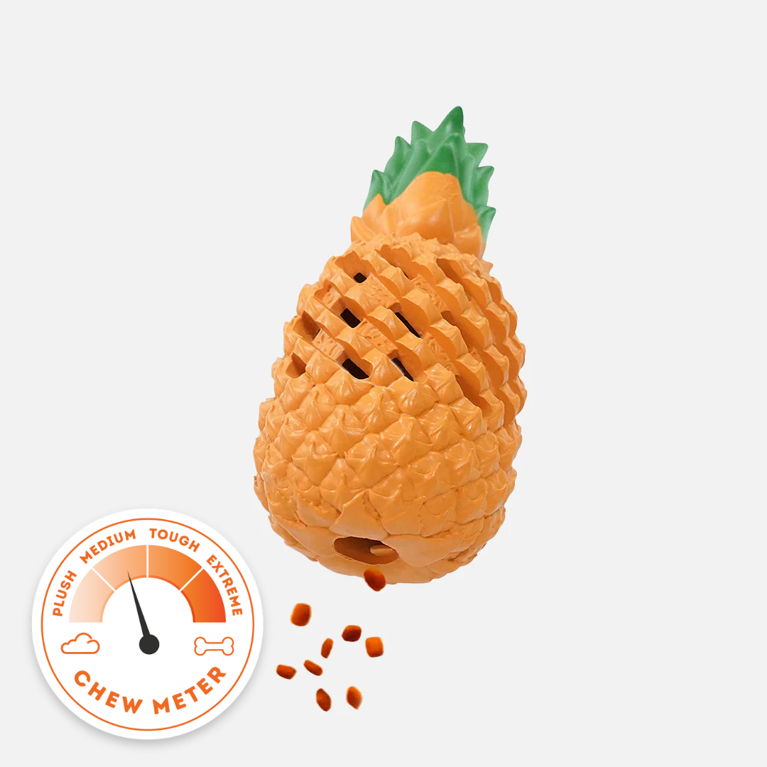 Pineapple Treat Dispenser
