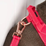 Anti Shock Bungee Leash