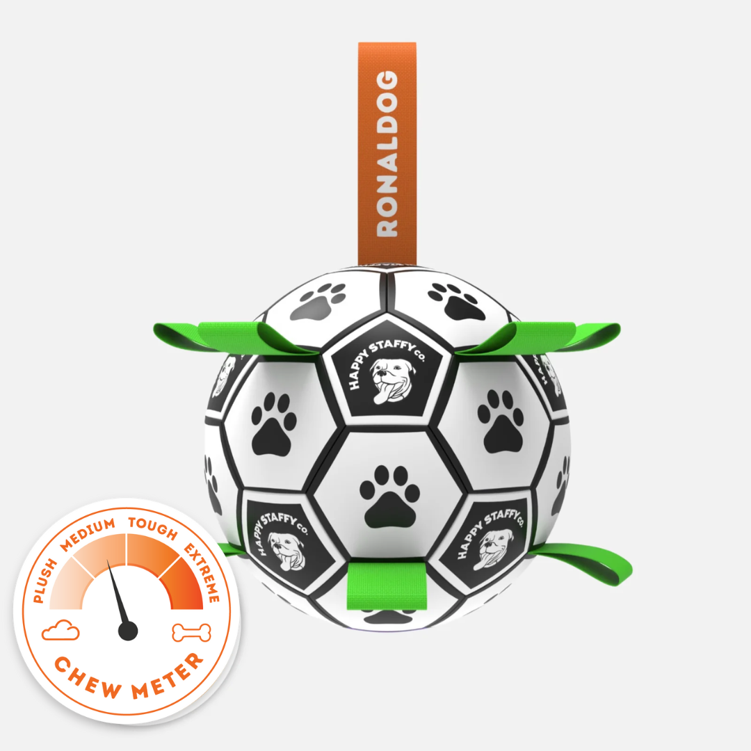 Ronaldog Soccer Ball – Happy Staffy Co. US