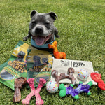 <p><strong>FREE Chewzilla® Toy</strong></p>
