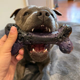 Chewzilla Galactic Quest Collection