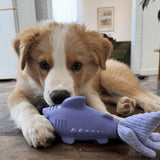 Classic Toy Collection