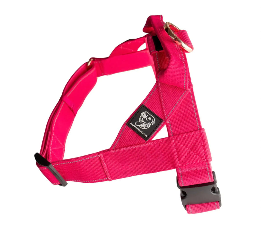 Durable Dog Harness