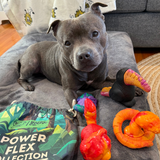 PowerFlex™ Jungle Trek Collection