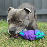 PowerFlex™ Jungle Trek Collection