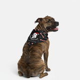 Christmas Bandana - Free Gift