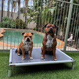 Chew-Proof Outdoor Bed