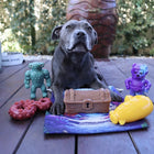 Treat & Toy Combo (Chewzilla® Deep Sea Mission)