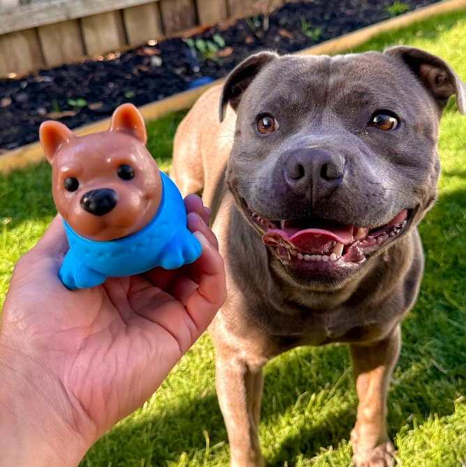 Treat & Toy Bundle (PowerFlex™ Beach Trip)
