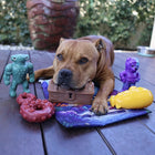 Treat & Toy Combo (Chewzilla® Deep Sea Mission)