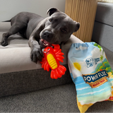 PowerFlex™ Beach Trip
