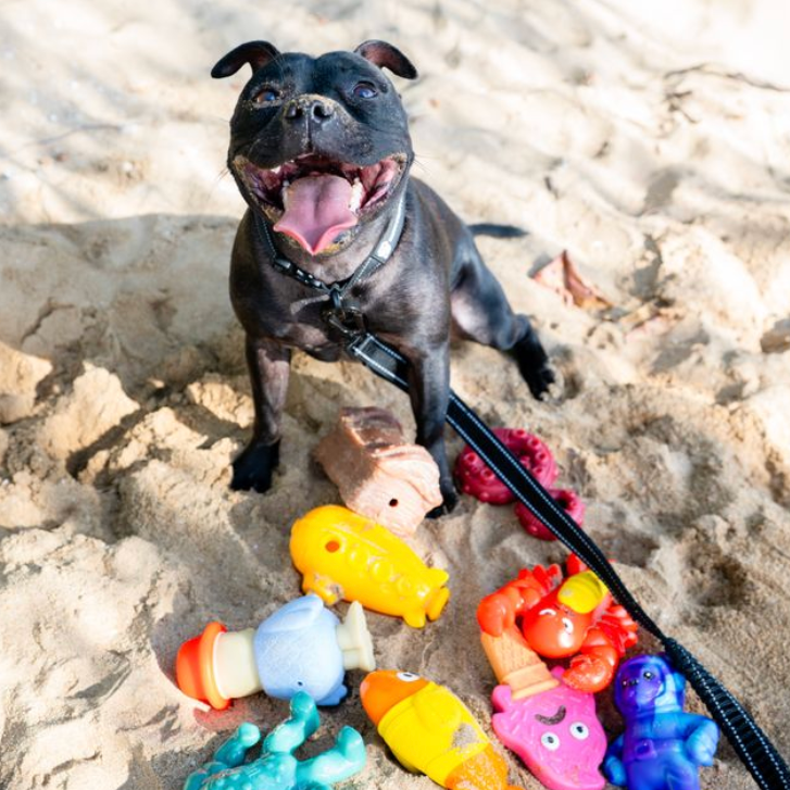 Treat & Toy Combo (Chewzilla® Deep Sea Mission)