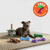 Best Selling Toy Bundle