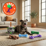 Best Selling Toy Bundle