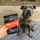 Skin & Coat Supplement