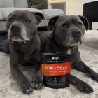 Skin & Coat Supplement