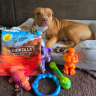 Chewzilla® Aussie Outback Collection