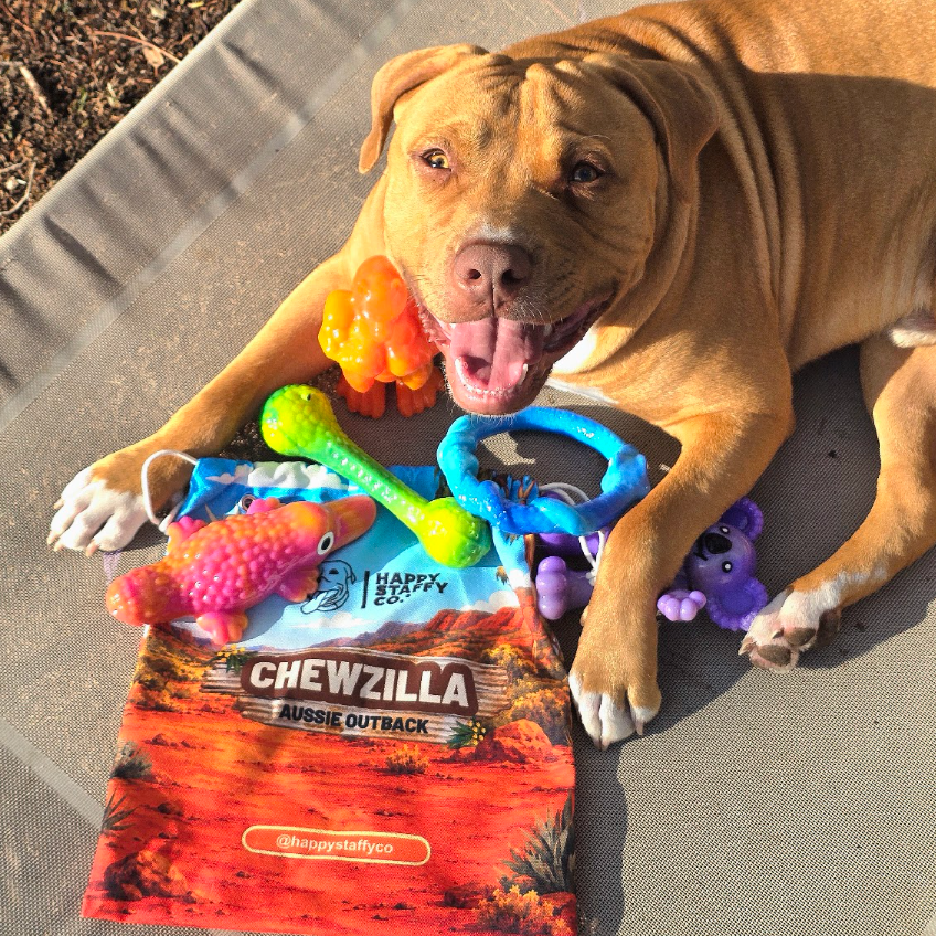 Chewzilla® Aussie Outback Collection