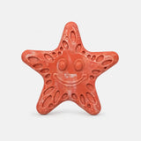 Smiey Sea Star