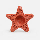 Smiey Sea Star