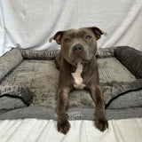 Black Friday Baller Pup Bundle - USA Edition