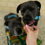 Beef Liver Dog Treats