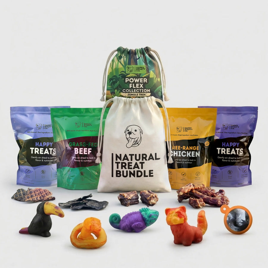 Treat & Toy Bundle (PowerFlex™ Collection)