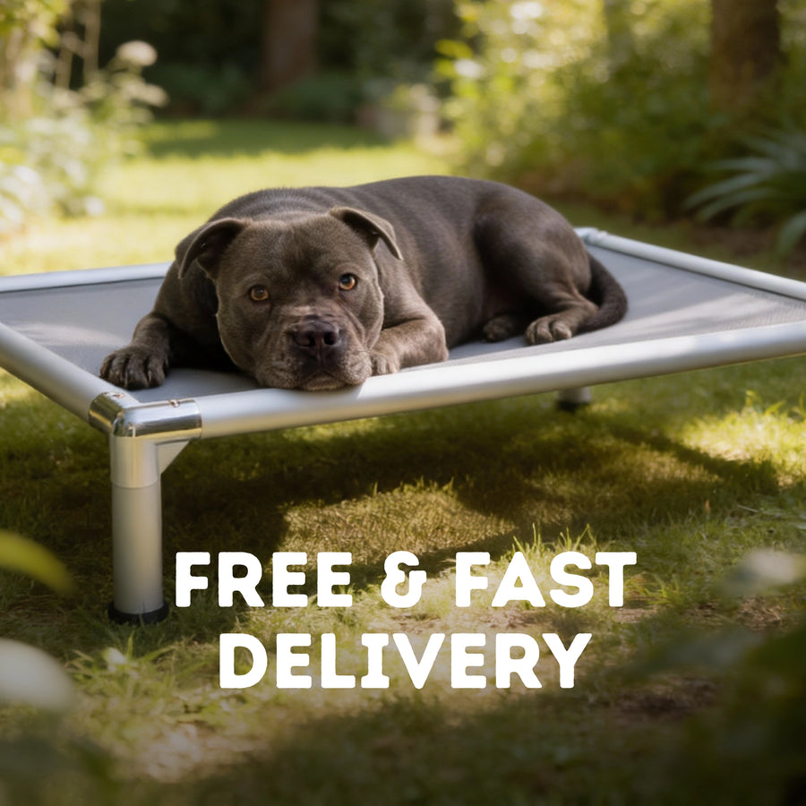 Chew-Proof Outdoor Bed