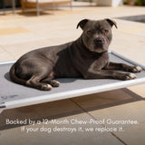 Chew-Proof Outdoor Bed