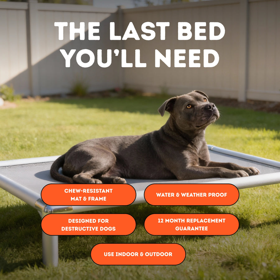 Chew-Proof Outdoor Bed