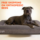 Deluxe Orthopedic Memory Foam Bed
