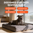 Deluxe Orthopedic Memory Foam Bed