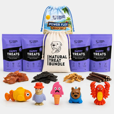 Treat & Toy Bundle (PowerFlex™ Beach Trip)