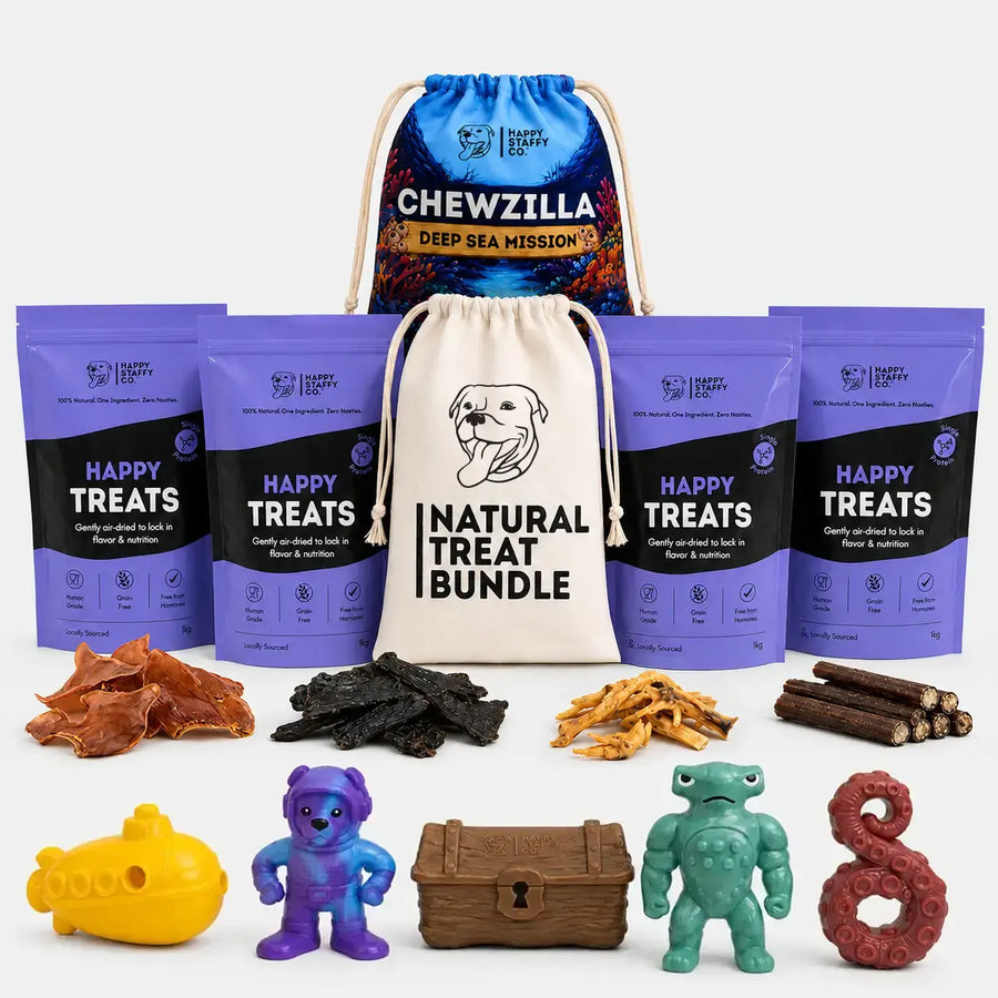 Treat & Toy Combo (Chewzilla® Deep Sea Mission)