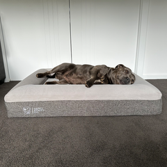 Deluxe Orthopedic Memory Foam Bed