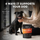 Skin & Coat Supplement