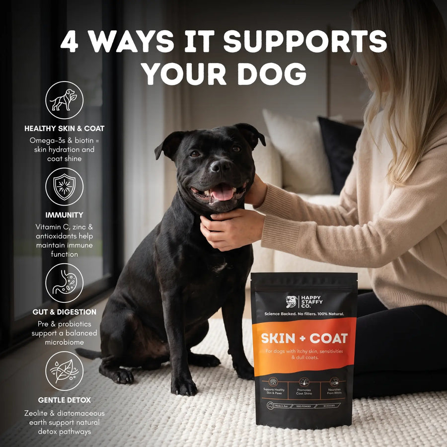 Skin & Coat Supplement