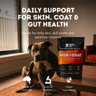 Skin & Coat Supplement