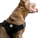 Staffy Harness