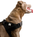 Durable Dog Harness